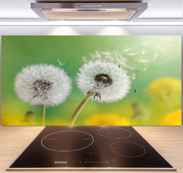 Spatplaat keuken Paardenbloemen