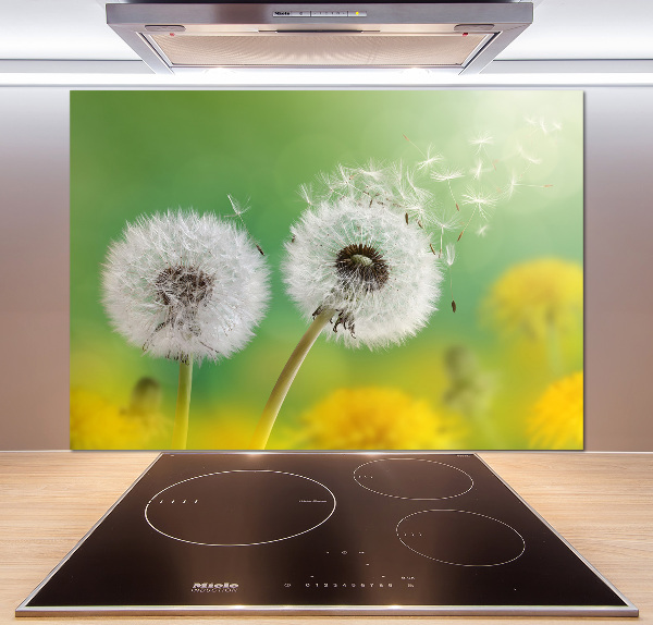 Spatplaat keuken Paardenbloemen