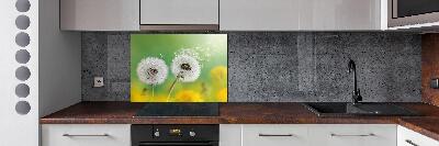 Spatplaat keuken Paardenbloemen
