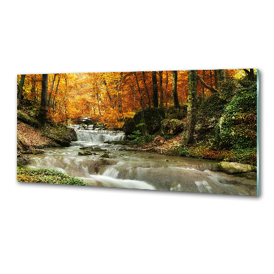 Achterwand keuken Waterval in het bos