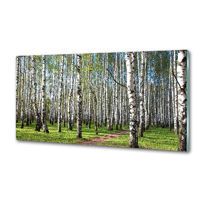 Keuken achterwand Berkenbos