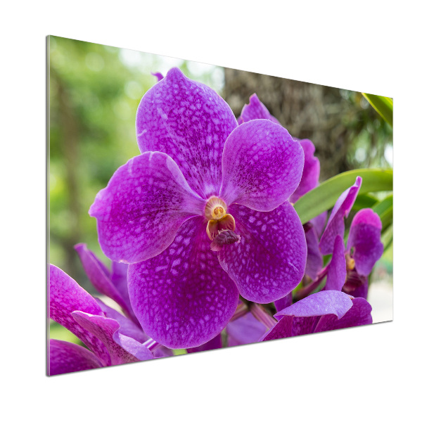 Keuken achterwand Orchidee