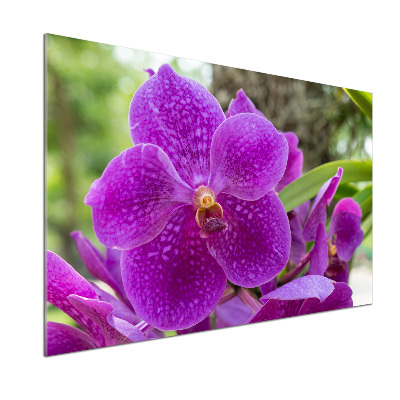 Keuken achterwand Orchidee