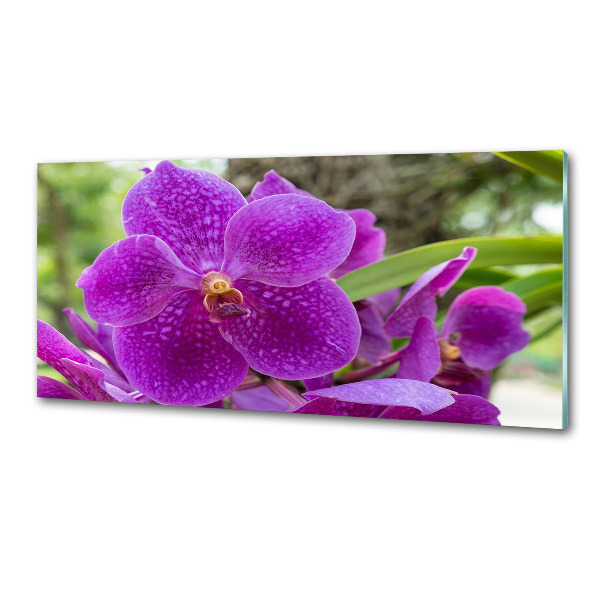 Keuken achterwand Orchidee