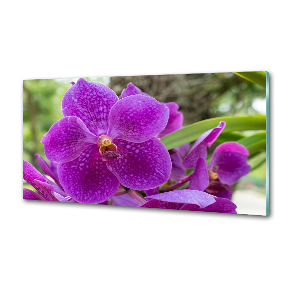 Keuken achterwand Orchidee
