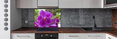 Keuken achterwand Orchidee