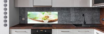 Glazen achterwand keuken Lelie