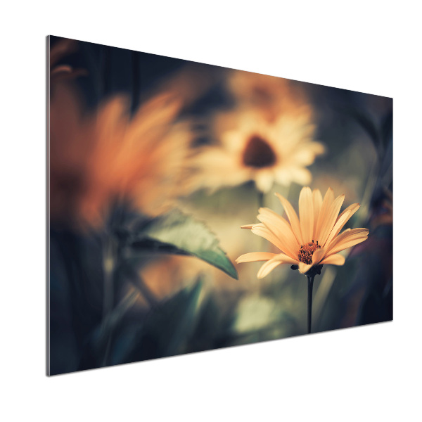 Achterwand keuken Lentebloem