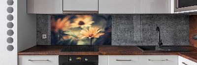 Achterwand keuken Lentebloem