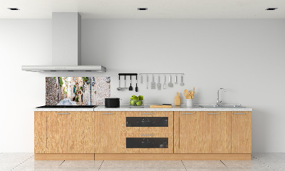 Achterwand keuken Stadslaan