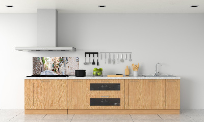 Achterwand keuken Stadslaan