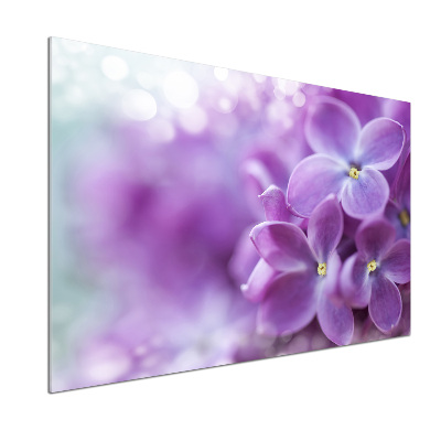 Spatplaat keuken Seringbloemen