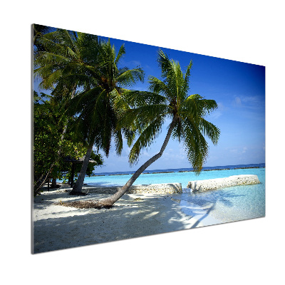 Keuken achterwand Tropisch strand