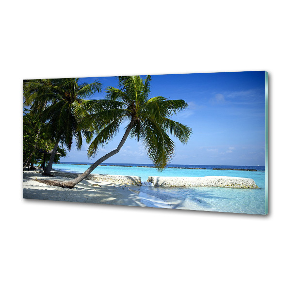 Keuken achterwand Tropisch strand