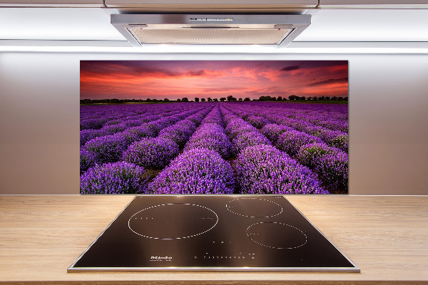 Glazen achterwand keuken Lavendelveld