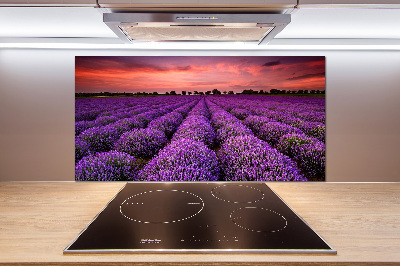 Glazen achterwand keuken Lavendelveld