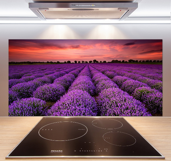 Glazen achterwand keuken Lavendelveld