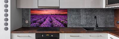 Glazen achterwand keuken Lavendelveld