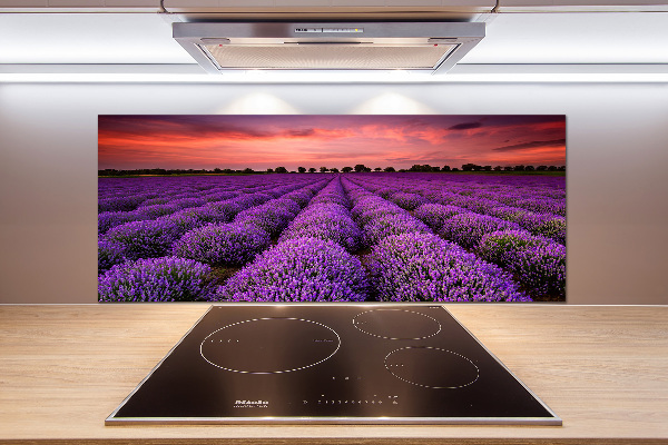 Glazen achterwand keuken Lavendelveld