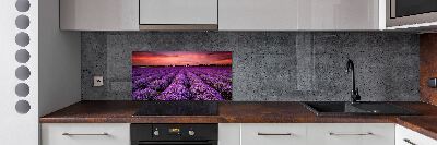 Glazen achterwand keuken Lavendelveld