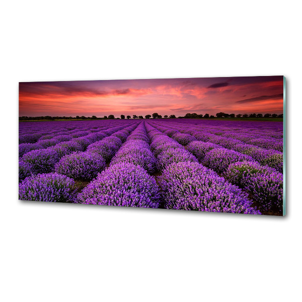 Glazen achterwand keuken Lavendelveld