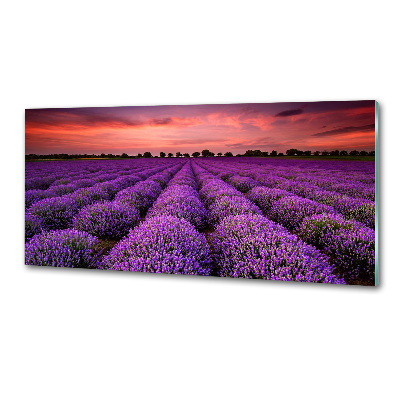 Glazen achterwand keuken Lavendelveld