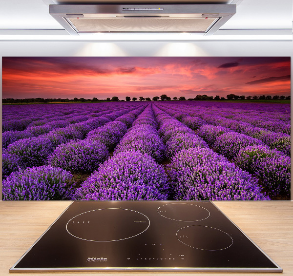Glazen achterwand keuken Lavendelveld
