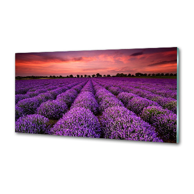Glazen achterwand keuken Lavendelveld