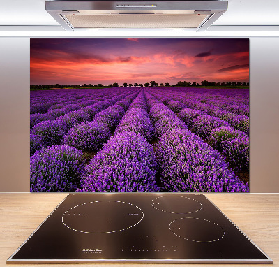 Glazen achterwand keuken Lavendelveld