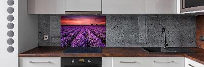 Glazen achterwand keuken Lavendelveld