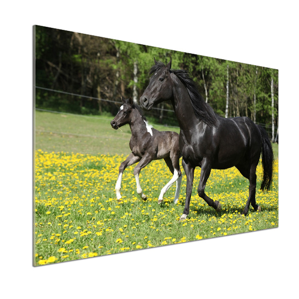 Panel lacobel Klacz ze źrebięciem