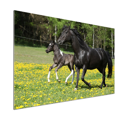 Panel lacobel Klacz ze źrebięciem