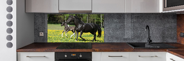 Achterwand keuken Merrie met veulen