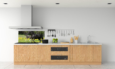 Panel lacobel Klacz ze źrebięciem