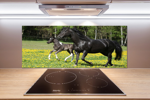 Panel lacobel Klacz ze źrebięciem