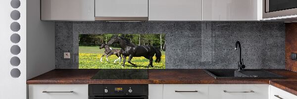 Achterwand keuken Merrie met veulen