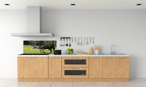 Achterwand keuken Merrie met veulen