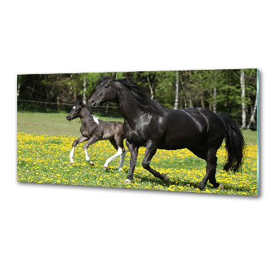 Panel lacobel Klacz ze źrebięciem