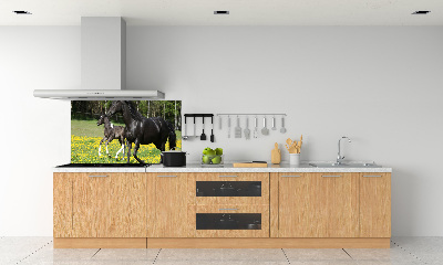 Panel lacobel Klacz ze źrebięciem