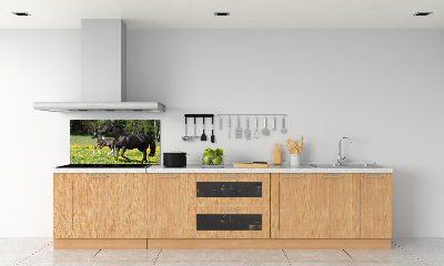 Achterwand keuken Merrie met veulen