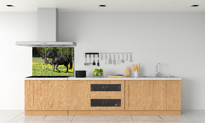 Panel lacobel Klacz ze źrebięciem