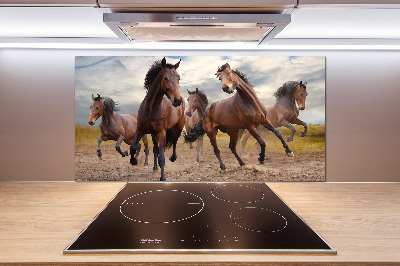 Spatscherm keuken Vijf paarden