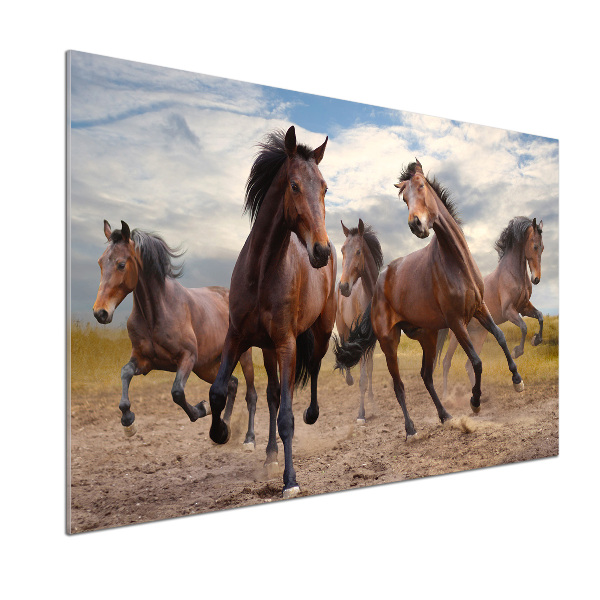 Spatscherm keuken Vijf paarden