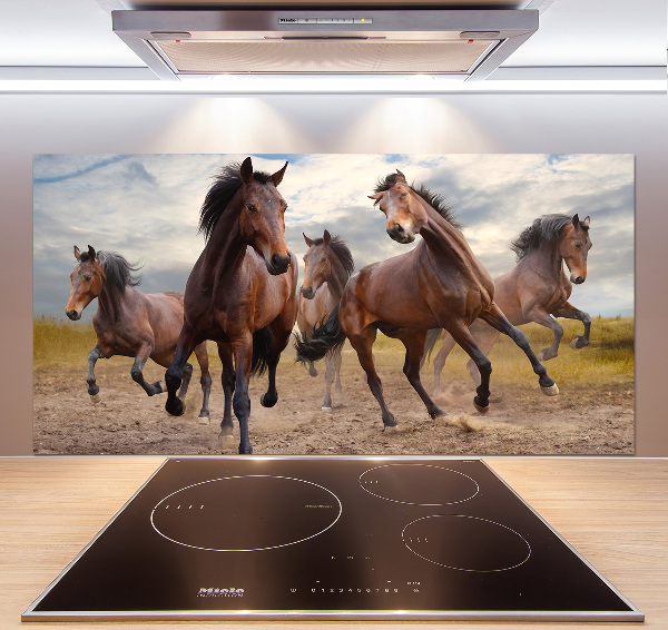 Spatscherm keuken Vijf paarden