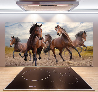 Spatscherm keuken Vijf paarden