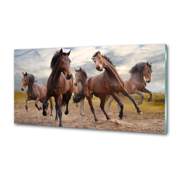 Spatscherm keuken Vijf paarden