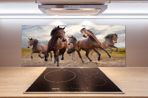 Spatscherm keuken Vijf paarden