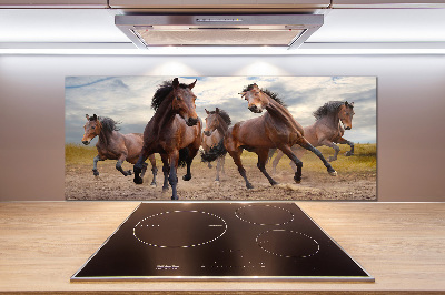 Spatscherm keuken Vijf paarden