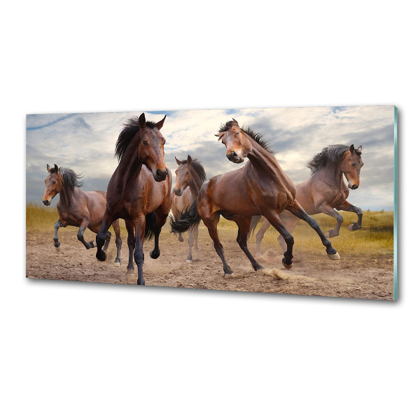 Spatscherm keuken Vijf paarden