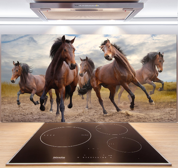 Spatscherm keuken Vijf paarden